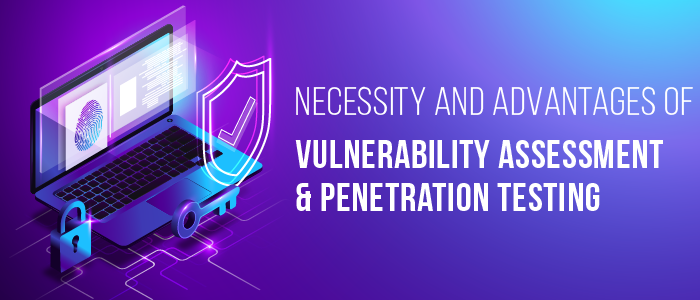 Unveiling the Essentials and Advantages of Vulnerability Assessment and Penetration Testing